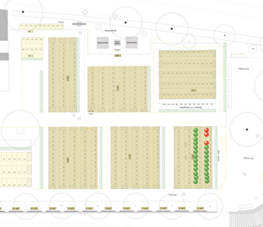 Plan de l'attribution des tombes