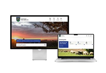 Desktop- und Tablet-Ansicht Webauftritt Gemeinde Berg SG