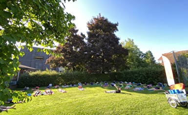 Eine Yogalektion im Freien auf einer Wiese.