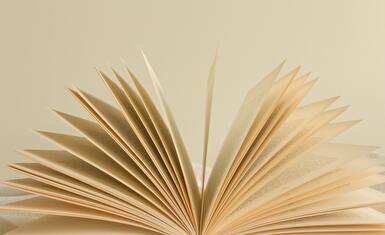 Buch