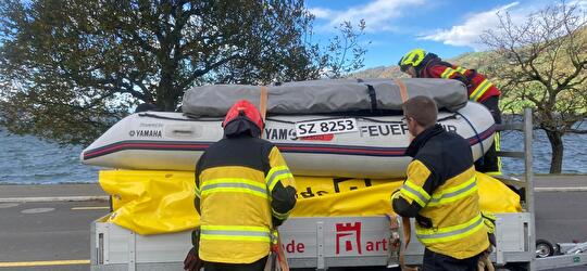 2025/43 & 2025/44: Arth, Luzernerstrasse, Technische Hilfeleistung