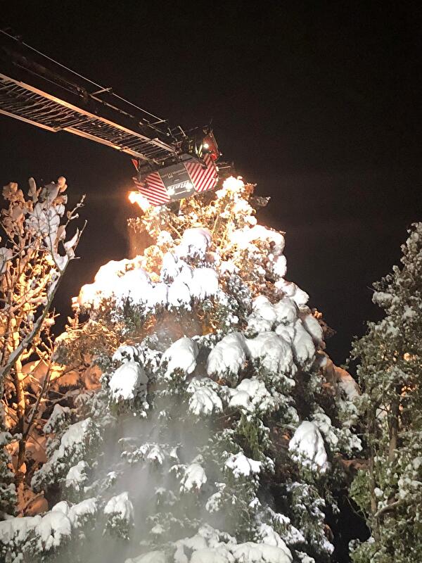 2021/1 Baum Schnee