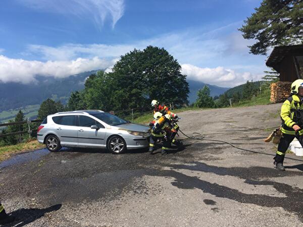 2021/11: Goldau, Fz Brand Steinerberg, Gribsch