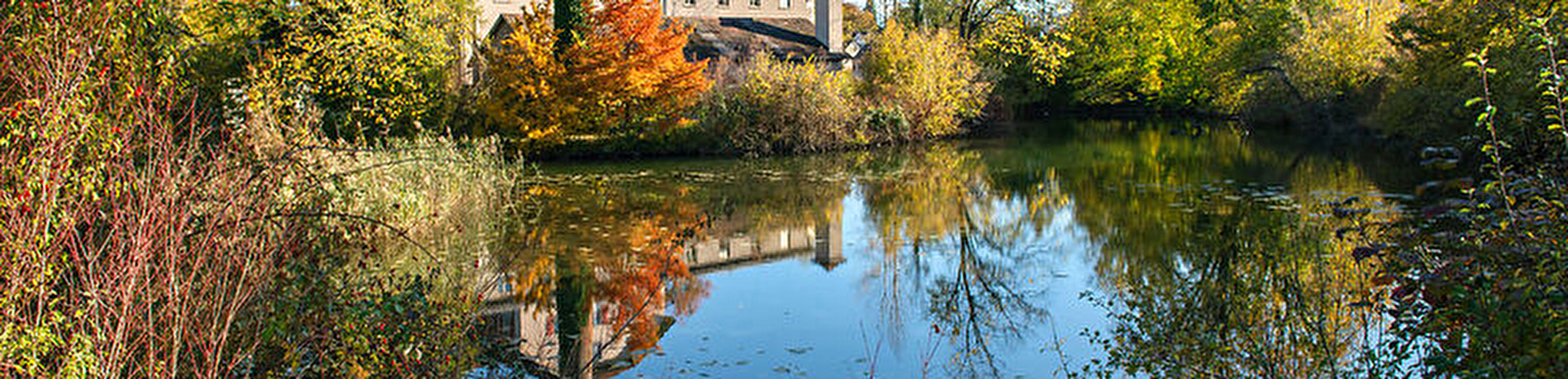 Wetzikon
