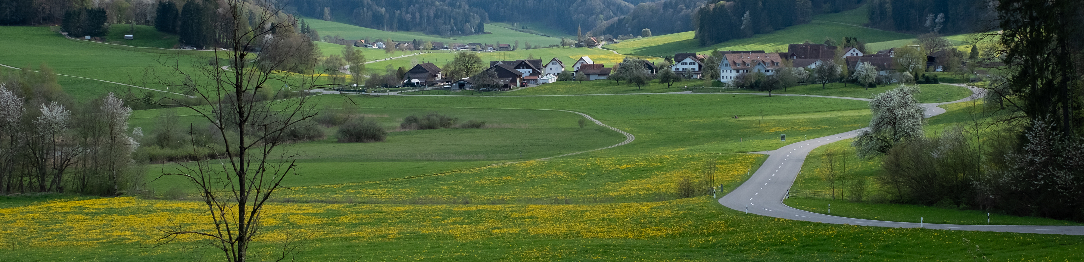 Turbenthal
