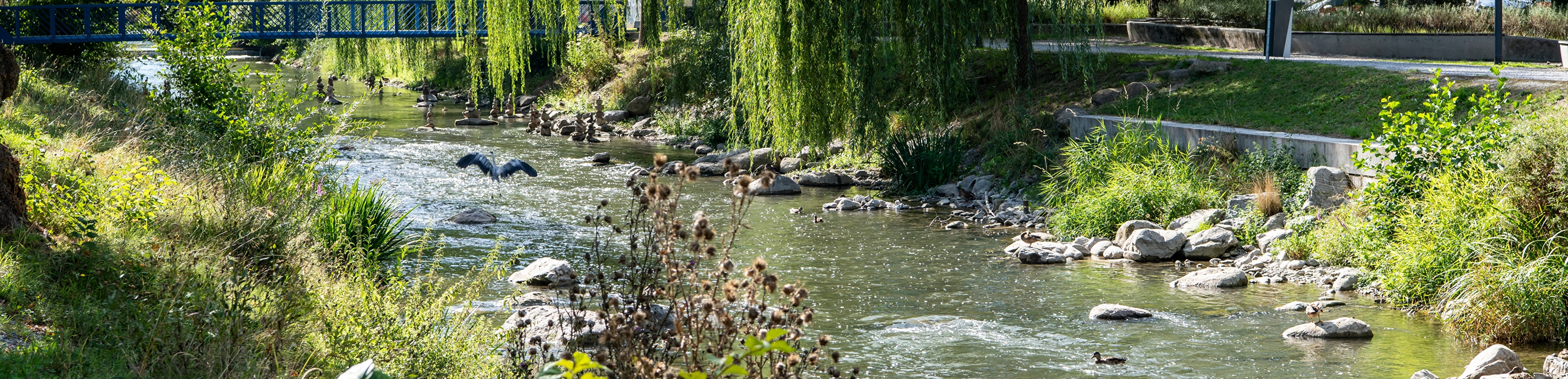 Dübendorf