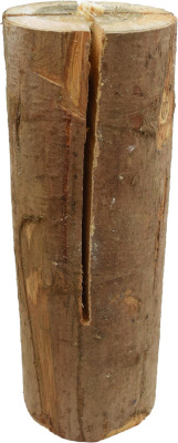 Finnenkerze