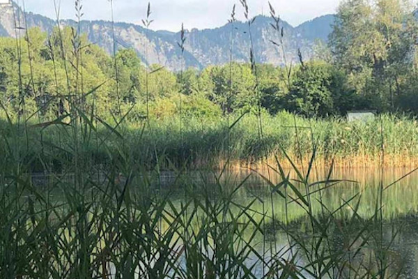 Siechenstuden