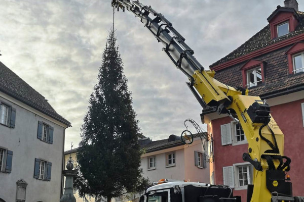 Weihnachtsbaum stellen